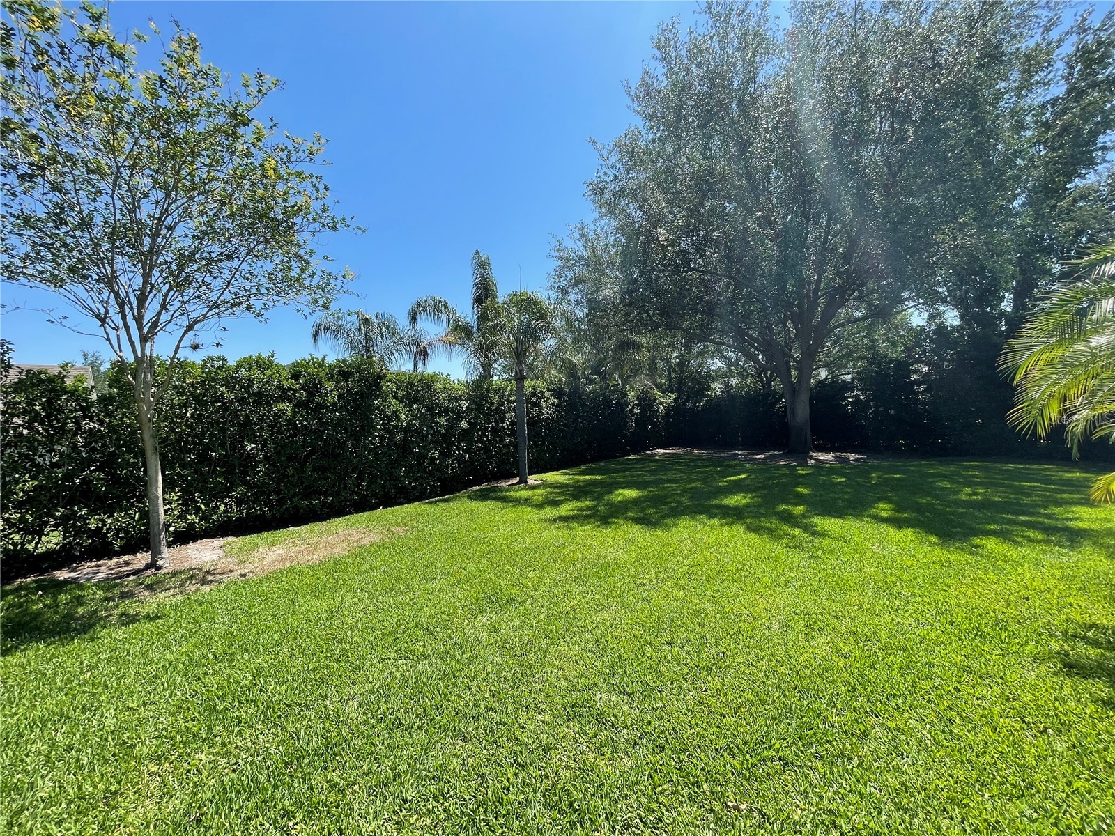 8463 Tibet Butler Dr Windermere FL 34786 - LAKE BURDEN O6413065 image26