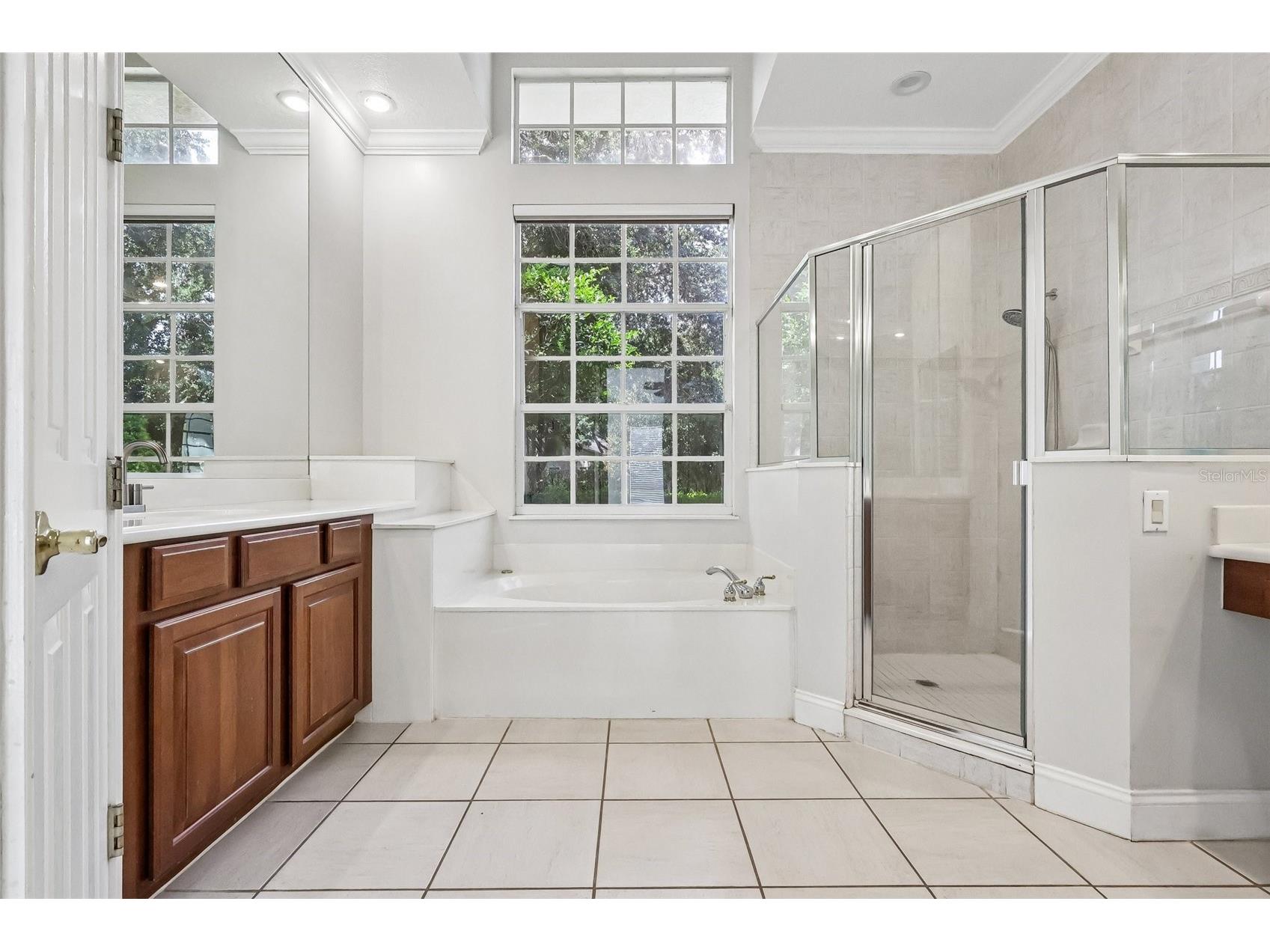 8463 Tibet Butler Dr Windermere FL 34786 - LAKE BURDEN O6417589 image27