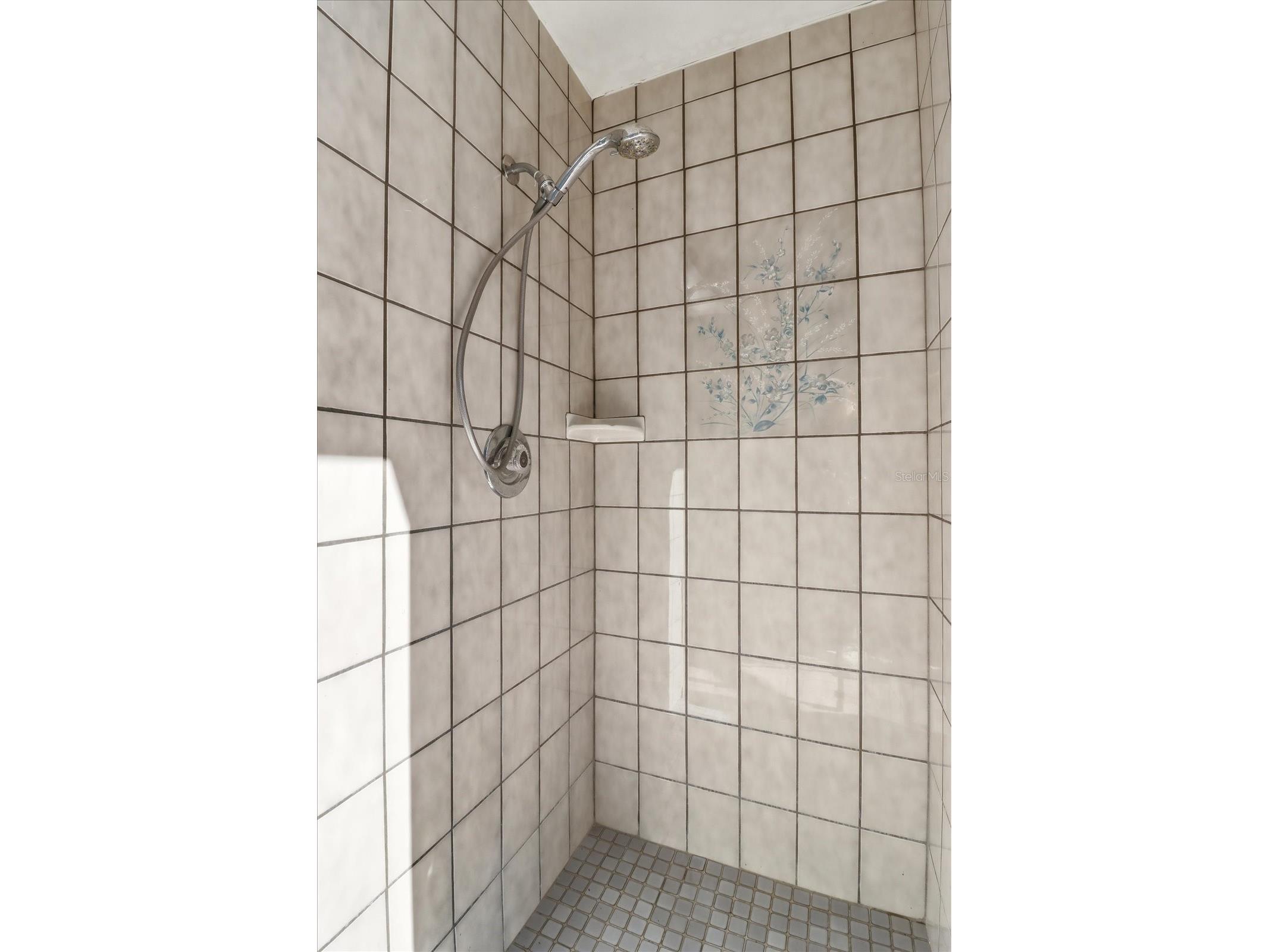 8464 Delaware Drive Spring Hill FL 34607 W7884601 image41