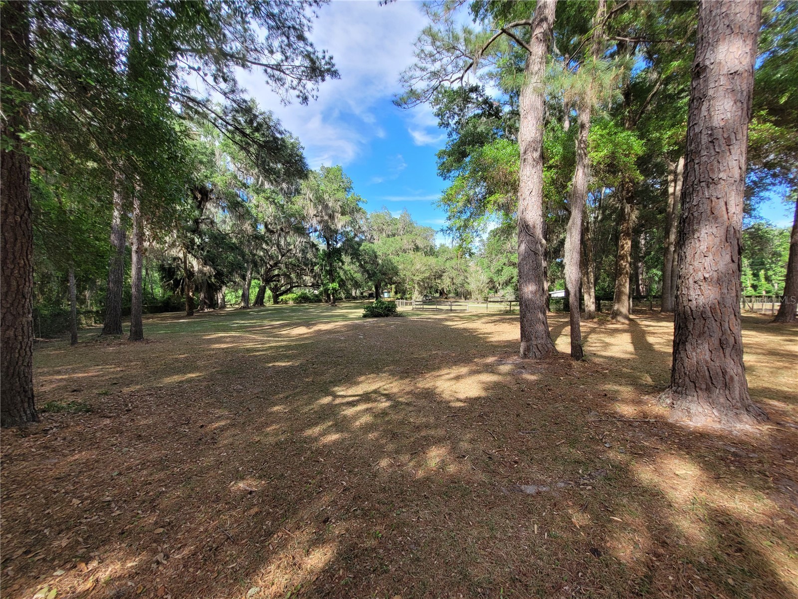 8465 NW 186th Street Reddick FL 32686 GC532404 image50