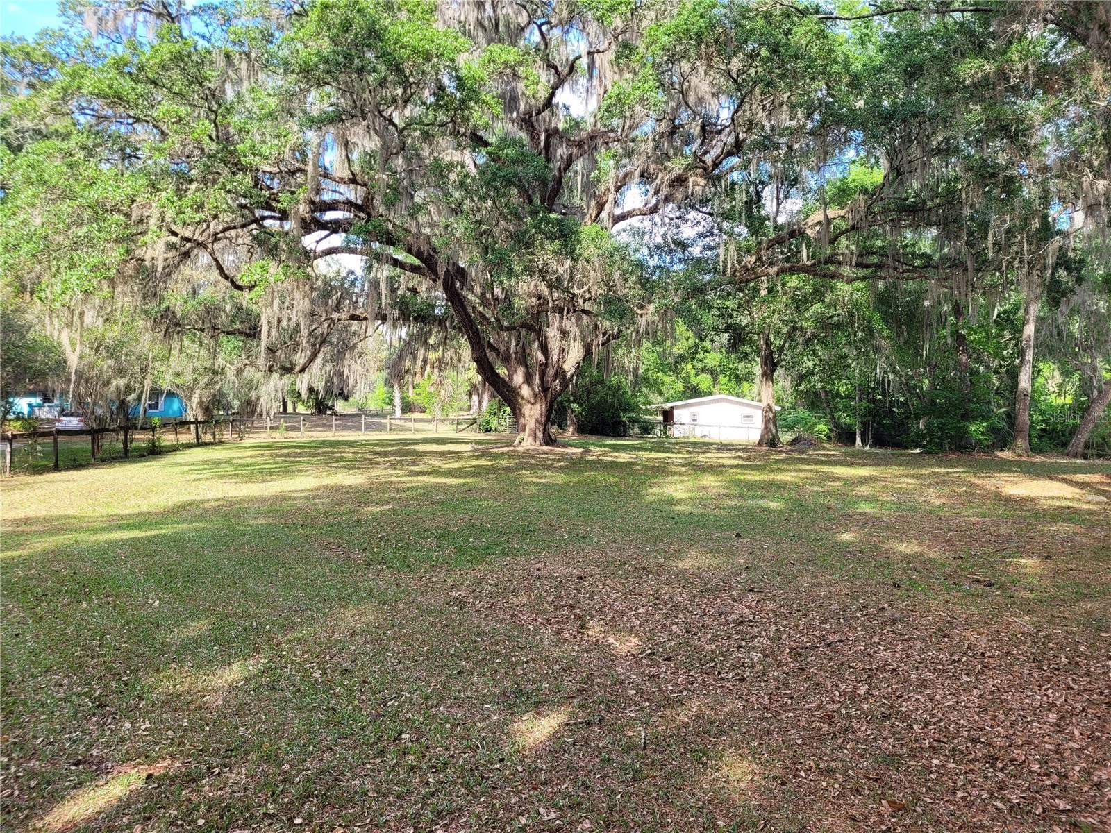 8465 NW 186th Street Reddick FL 32686 GC532404 image55