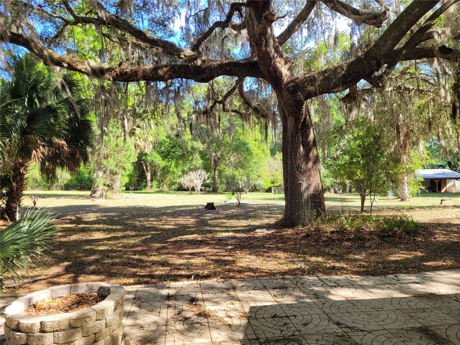 8465 NW 186th Street Reddick FL 32686 GC532404 image58