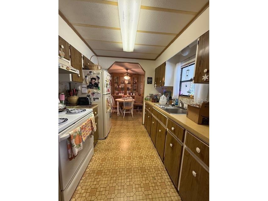 8466 Dickens Avenue Brooksville FL 34613 TB8401406 image7