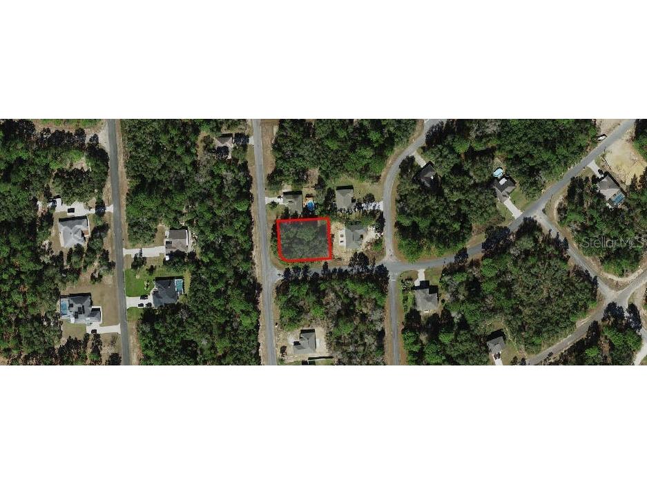 8467 N Empire Avenue Citrus Springs FL 34433 OM696015 image10