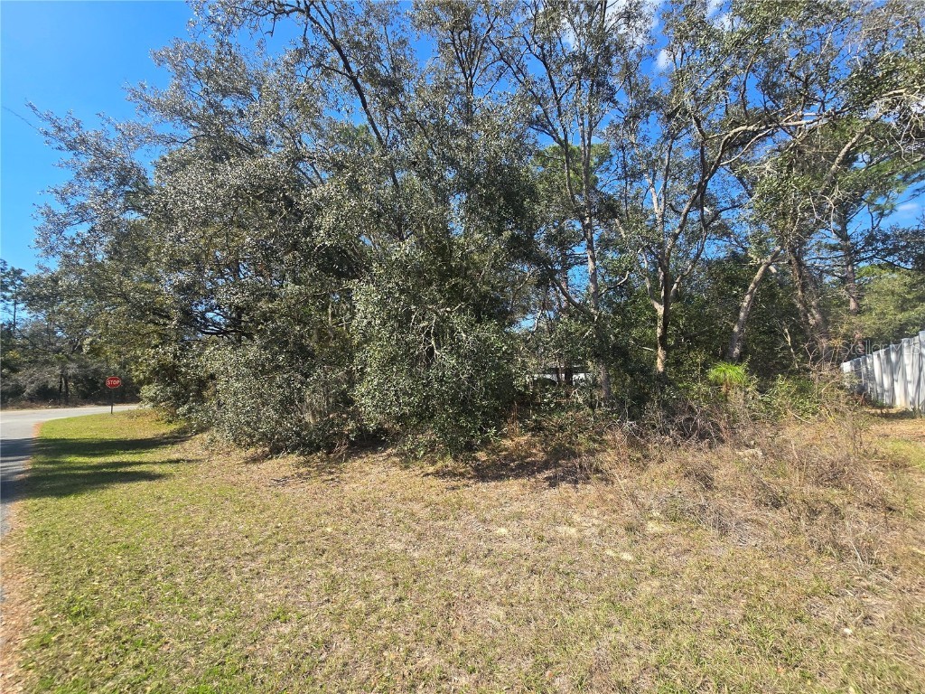 8467 N Empire Avenue Citrus Springs FL 34433 OM696015 image2