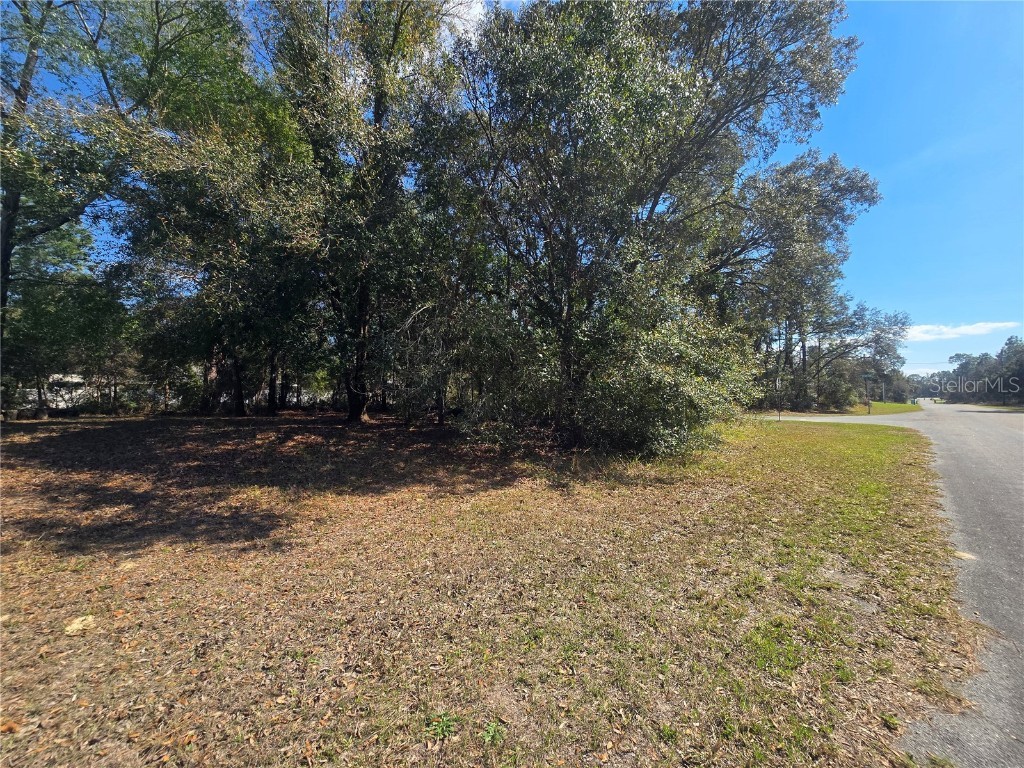 8467 N Empire Avenue Citrus Springs FL 34433 OM696015 image3