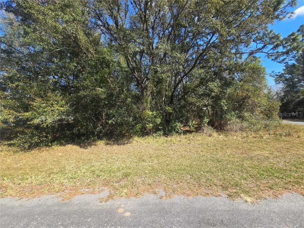 8467 N Empire Avenue Citrus Springs FL 34433 OM696015 image4