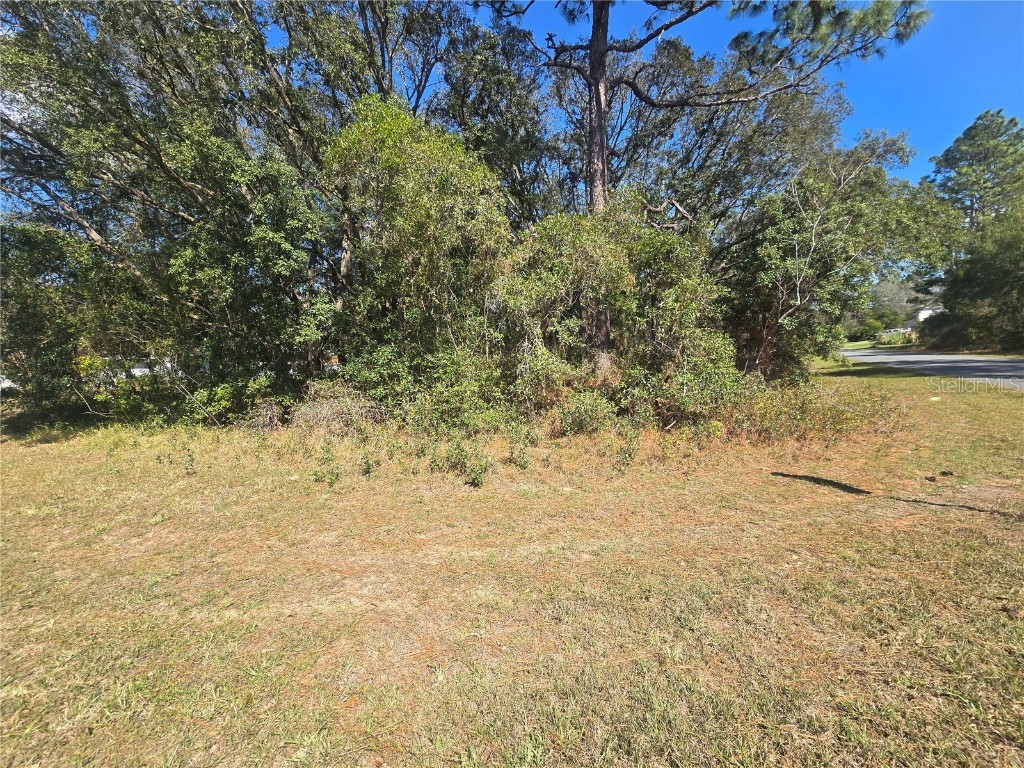 8467 N Empire Avenue Citrus Springs FL 34433 OM696015 image5