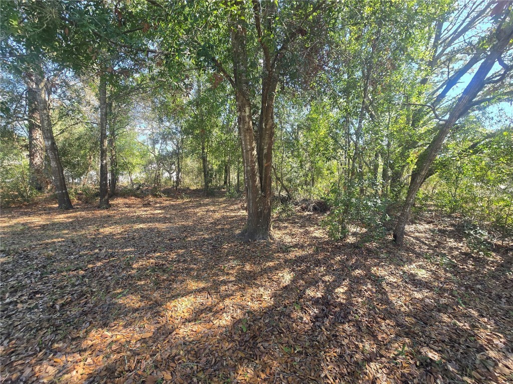 8467 N Empire Avenue Citrus Springs FL 34433 OM696015 image6