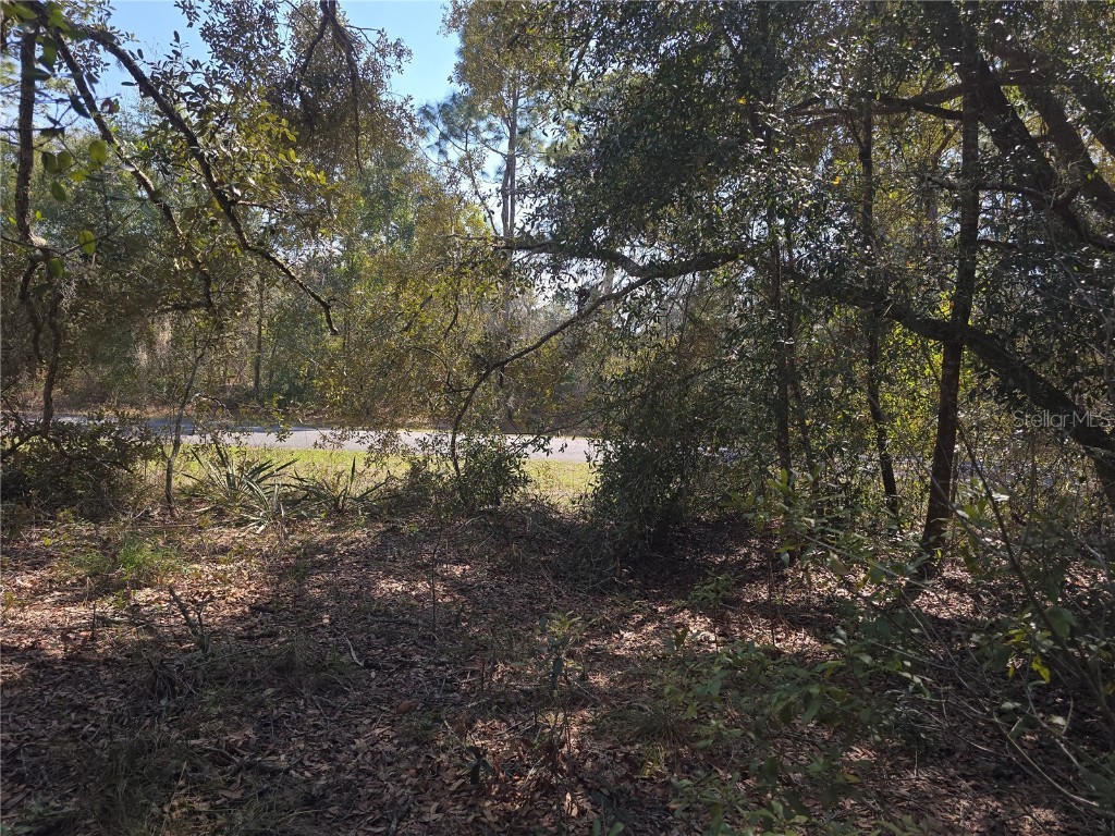 8467 N Empire Avenue Citrus Springs FL 34433 OM696015 image7