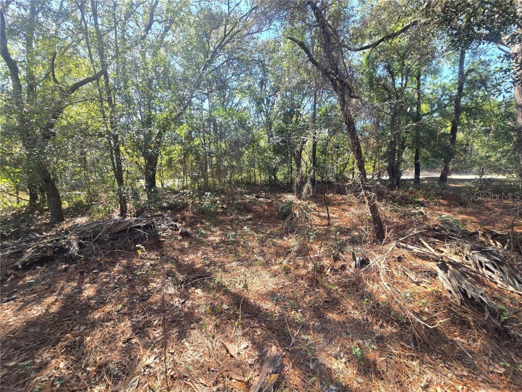 8467 N Empire Avenue Citrus Springs FL 34433 OM696015 image8