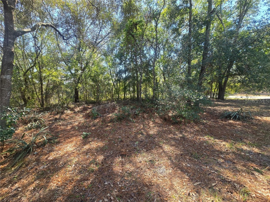 8467 N Empire Avenue Citrus Springs FL 34433 OM696015 image9