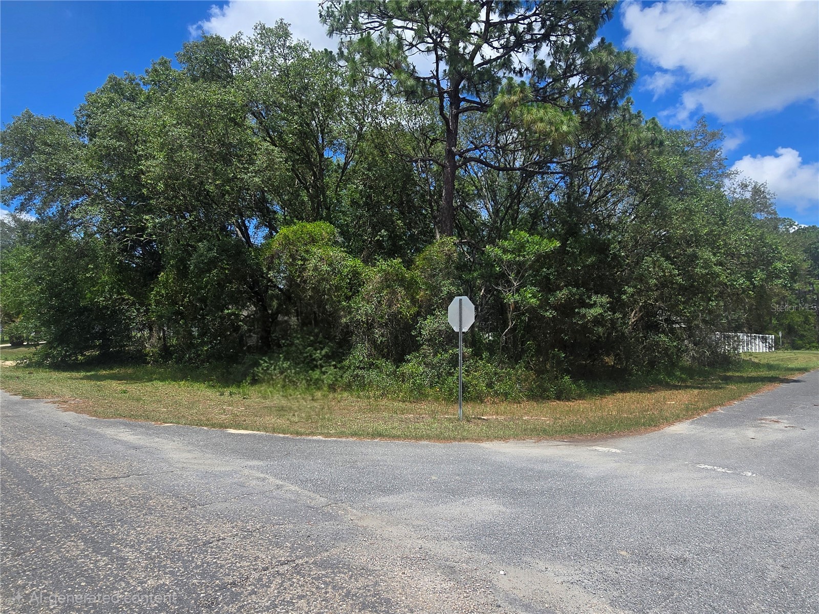 8467 N Empire Avenue Citrus Springs FL 34433 OM726803 image1
