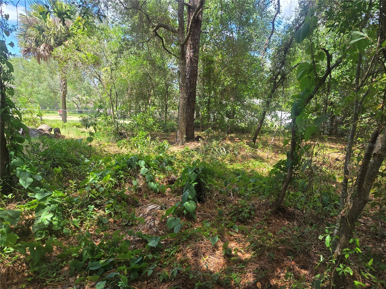 8467 N Empire Avenue Citrus Springs FL 34433 OM726803 image10