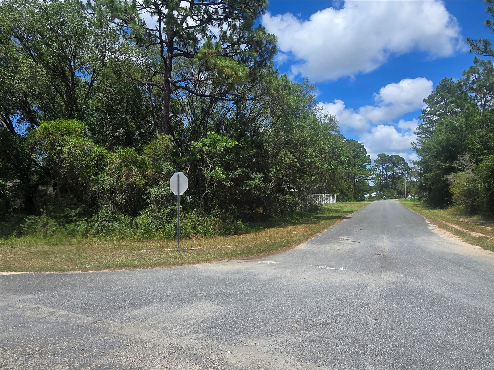 8467 N Empire Avenue Citrus Springs FL 34433 OM726803 image2