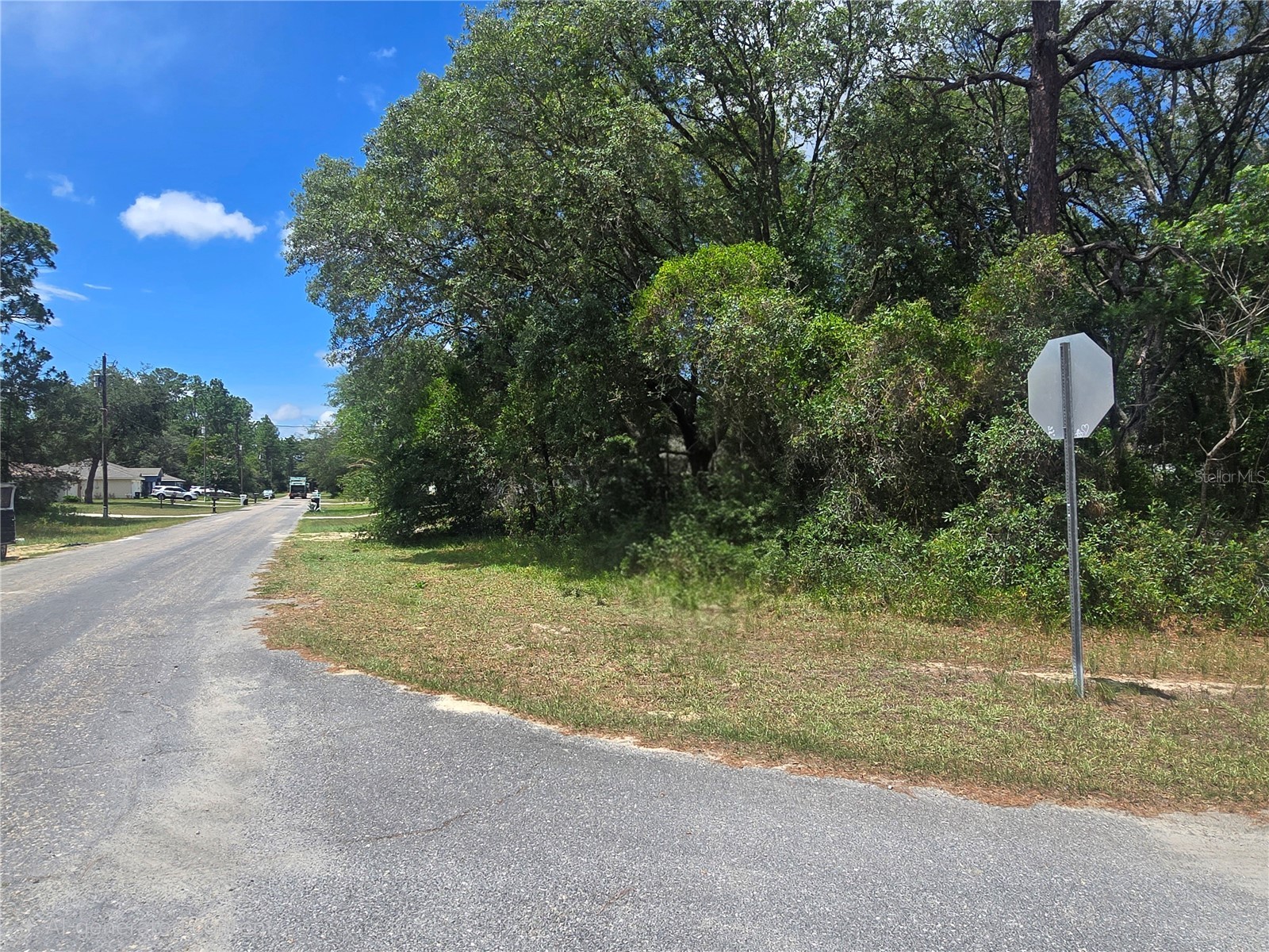 8467 N Empire Avenue Citrus Springs FL 34433 OM726803 image3