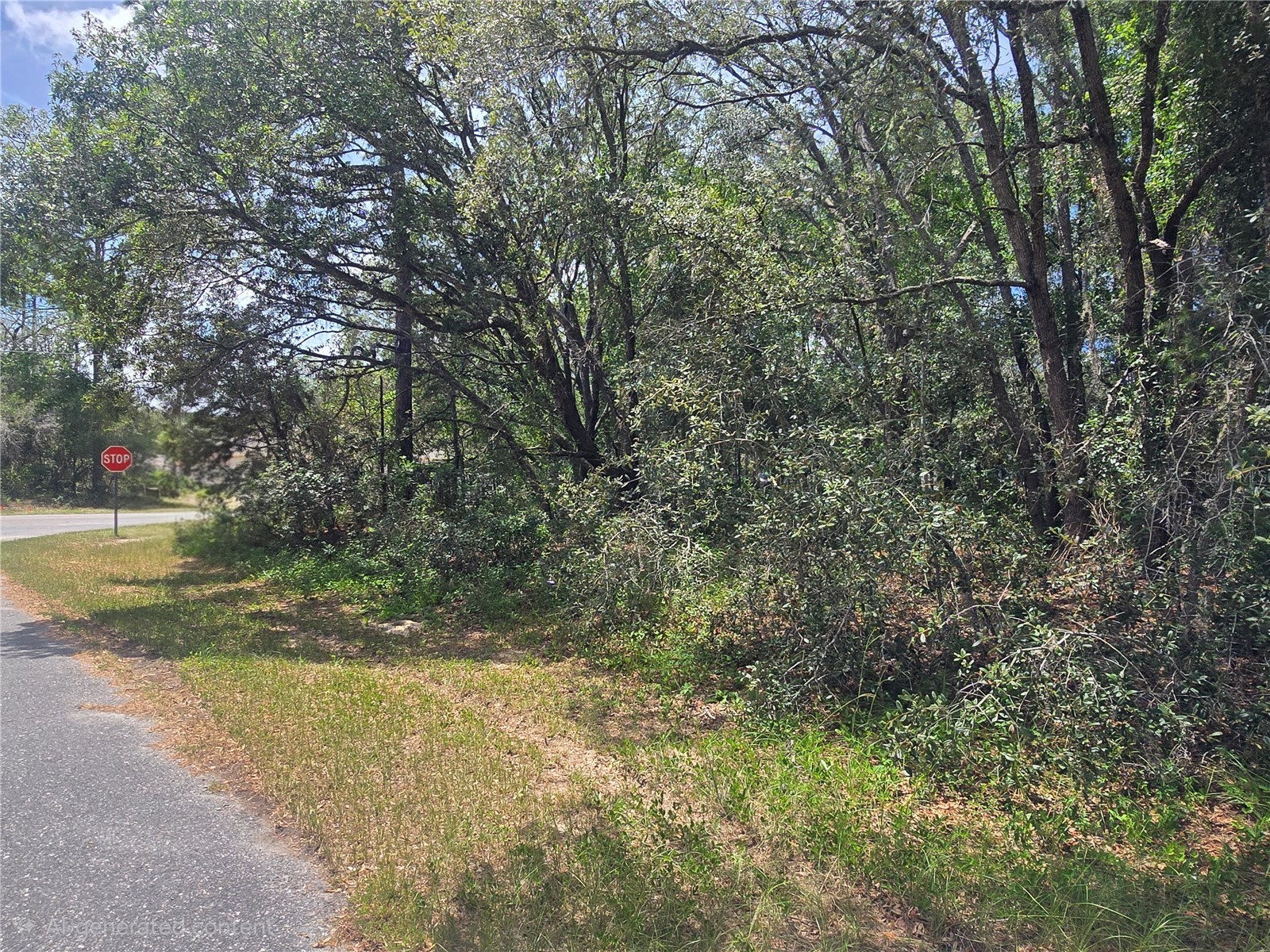 8467 N Empire Avenue Citrus Springs FL 34433 OM726803 image4