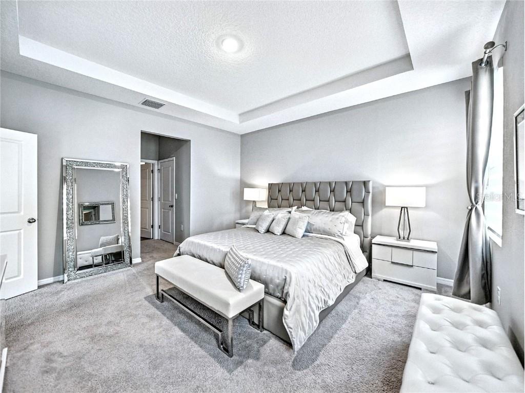 8469 Hardy Bay Loop Wesley Chapel FL 33545 A4660365 image13