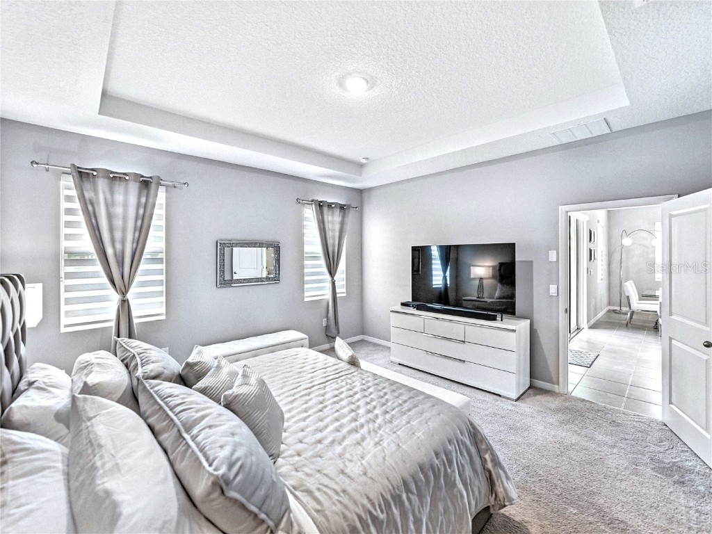 8469 Hardy Bay Loop Wesley Chapel FL 33545 A4660365 image14