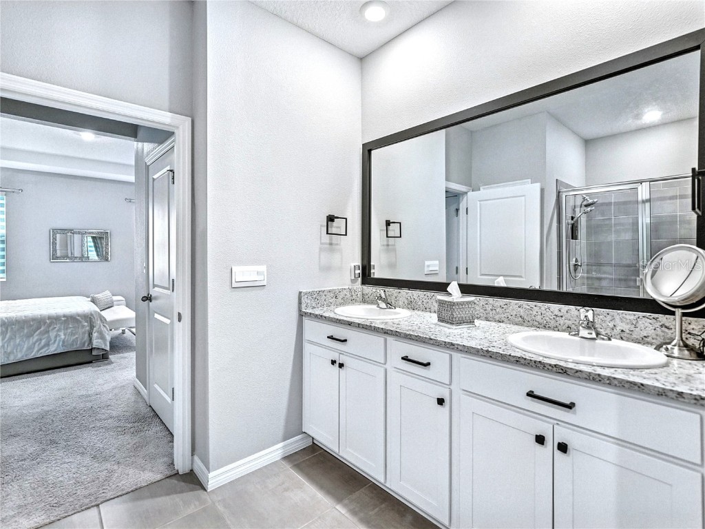 8469 Hardy Bay Loop Wesley Chapel FL 33545 A4660365 image15