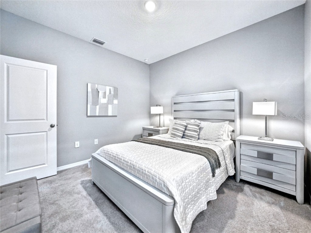 8469 Hardy Bay Loop Wesley Chapel FL 33545 A4660365 image17