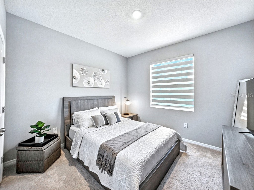 8469 Hardy Bay Loop Wesley Chapel FL 33545 A4660365 image20