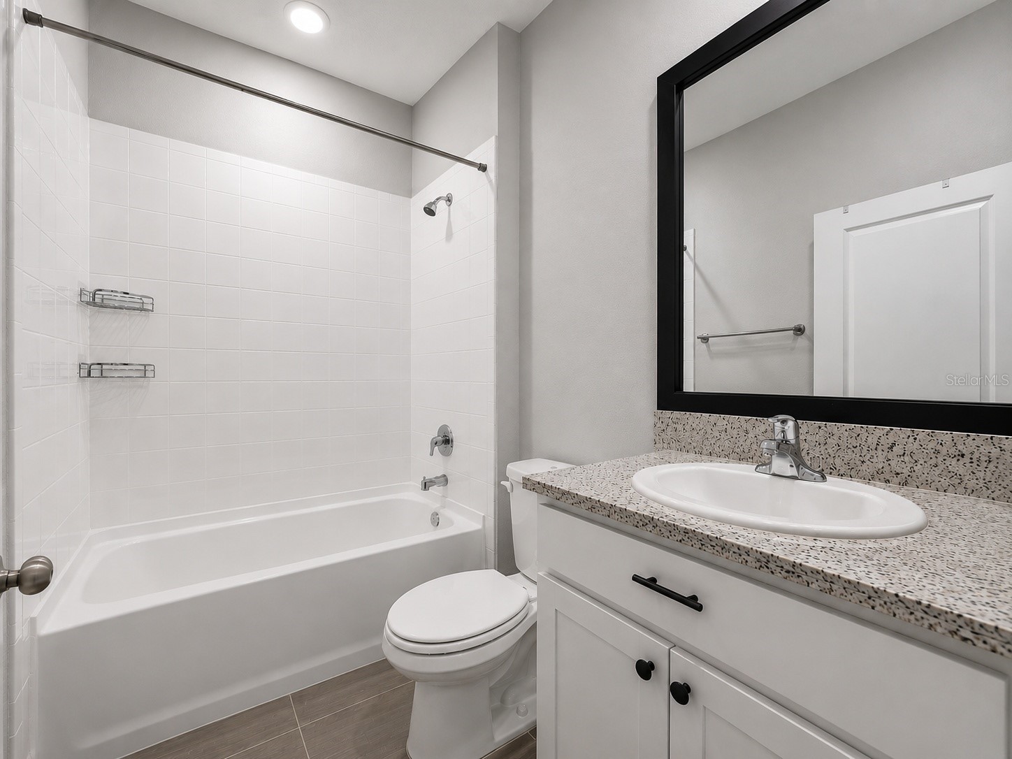 8469 Hardy Bay Loop Wesley Chapel FL 33545 A4693433 image12