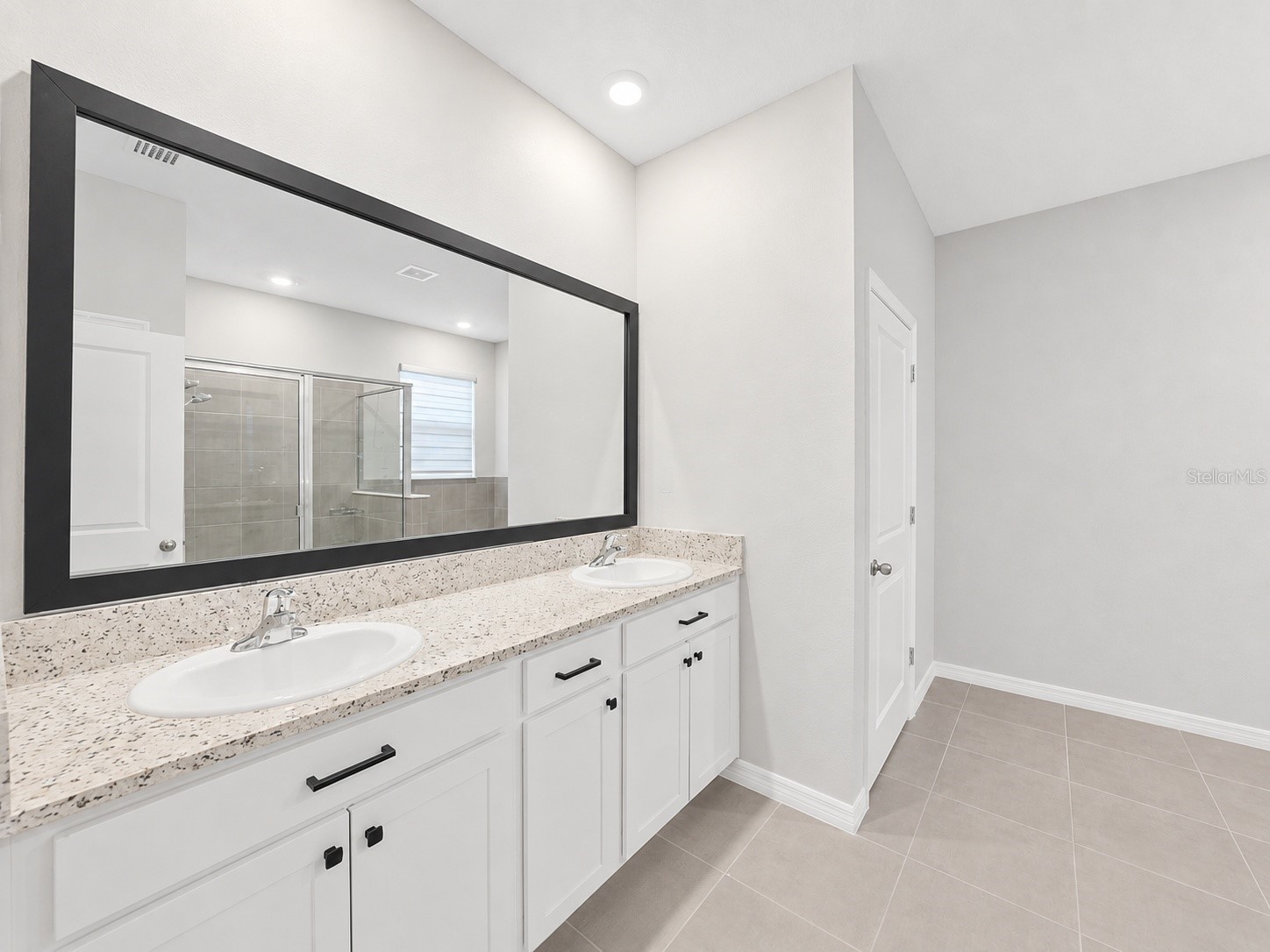 8469 Hardy Bay Loop Wesley Chapel FL 33545 A4693433 image20