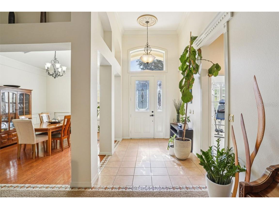 847 Cura Court Oakland FL 34787 O6364456 image4