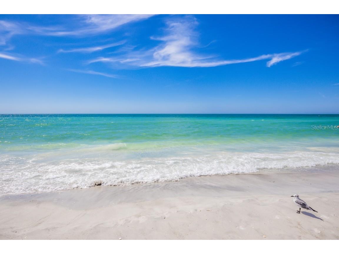 847 Evergreen Way Longboat Key FL 34228 - SARASOTA BAY A4665172 image26