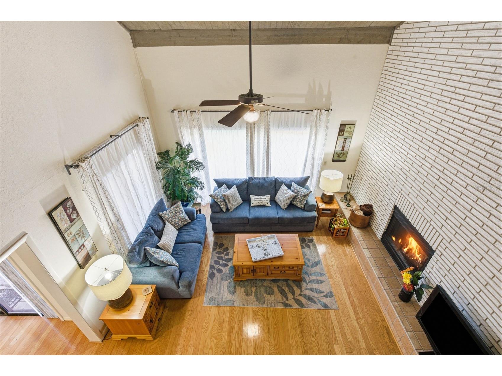 847 Hillside Drive Palm Harbor FL 34683 TB8472928 image43