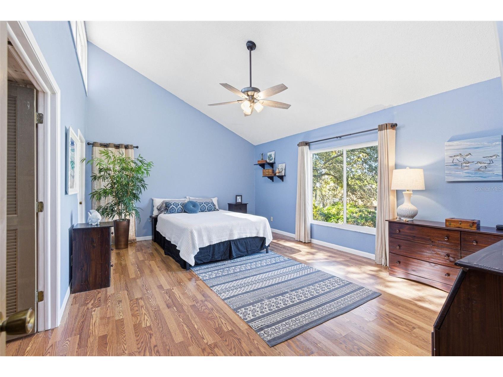 847 Hillside Drive Palm Harbor FL 34683 TB8472928 image50