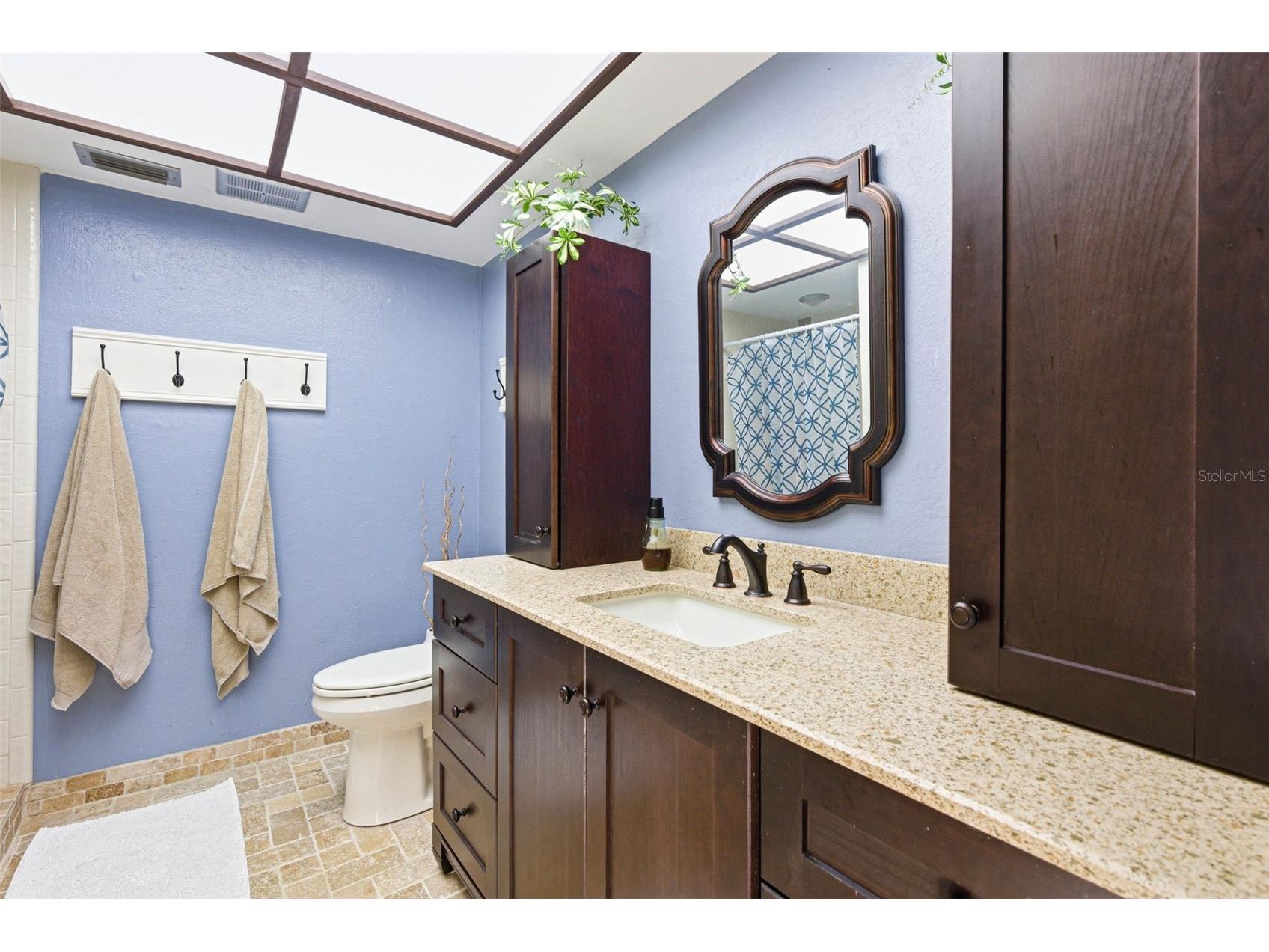 847 Hillside Drive Palm Harbor FL 34683 TB8472928 image57