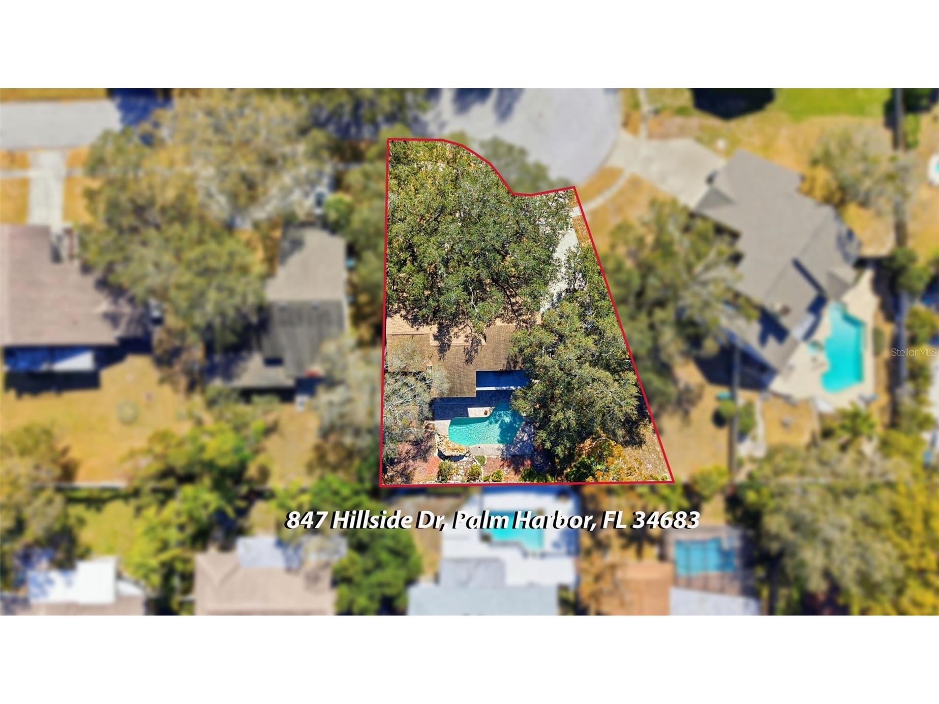 847 Hillside Drive Palm Harbor FL 34683 TB8472928 image61