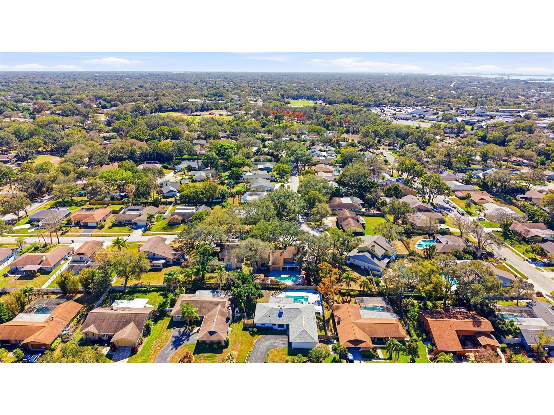 847 Hillside Drive Palm Harbor FL 34683 TB8472928 image62