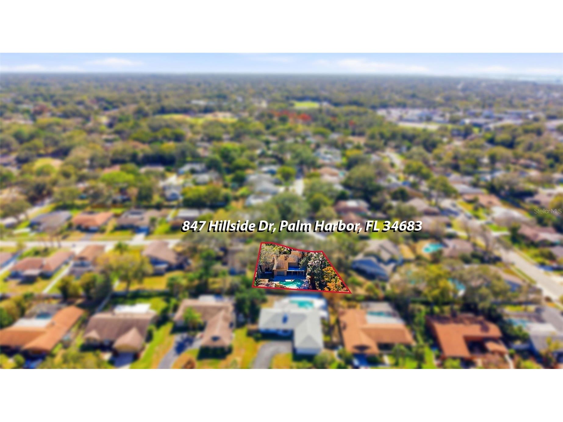 847 Hillside Drive Palm Harbor FL 34683 TB8472928 image63