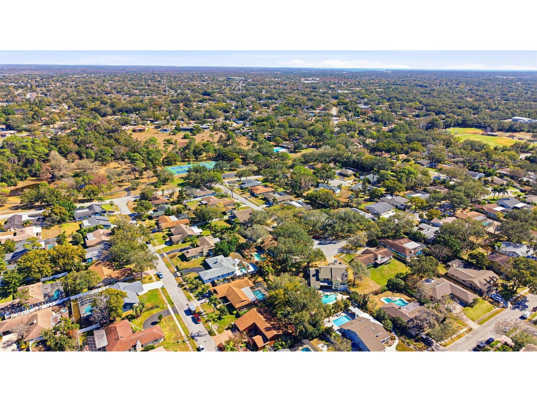 847 Hillside Drive Palm Harbor FL 34683 TB8472928 image64