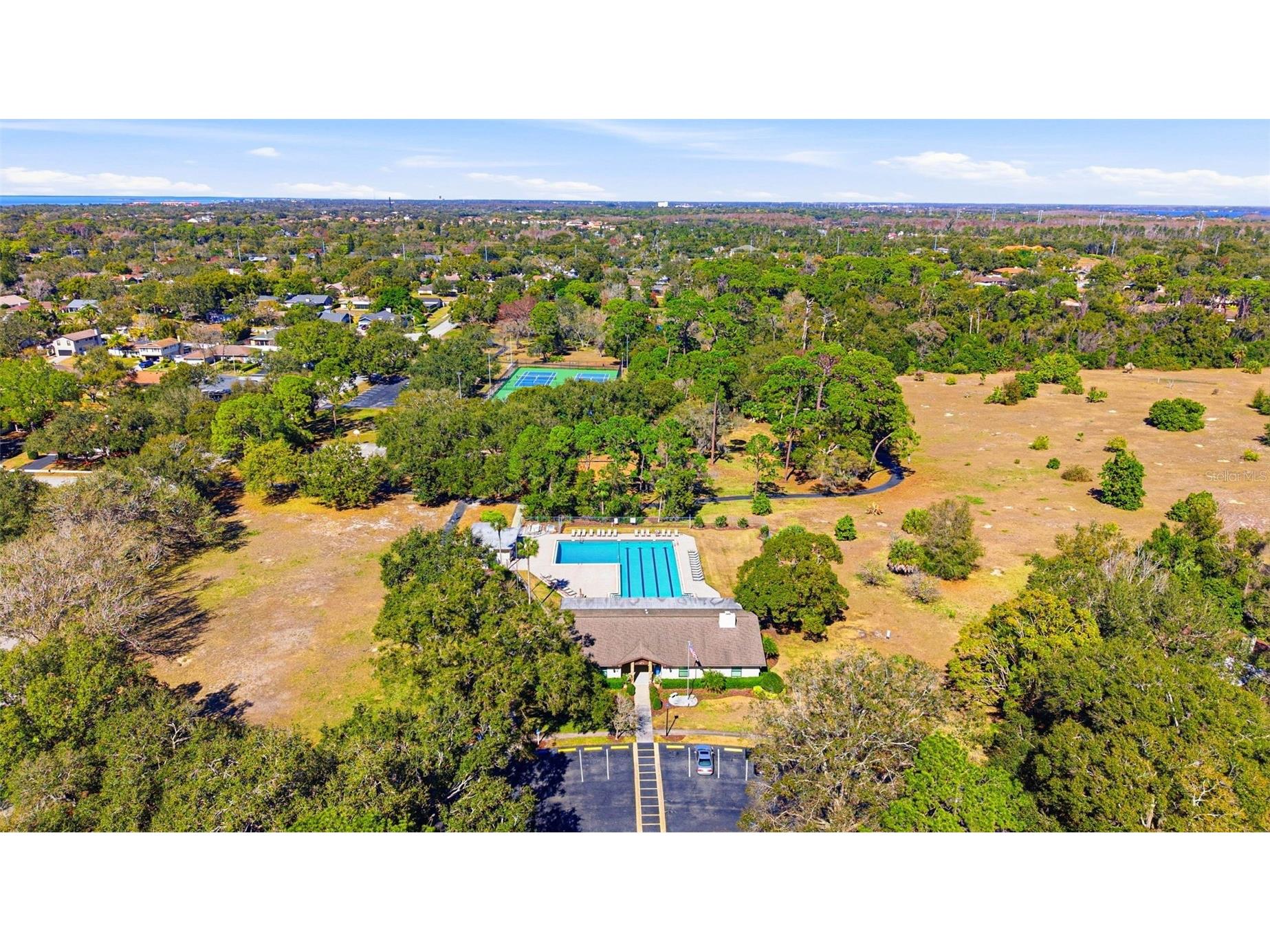 847 Hillside Drive Palm Harbor FL 34683 TB8472928 image76