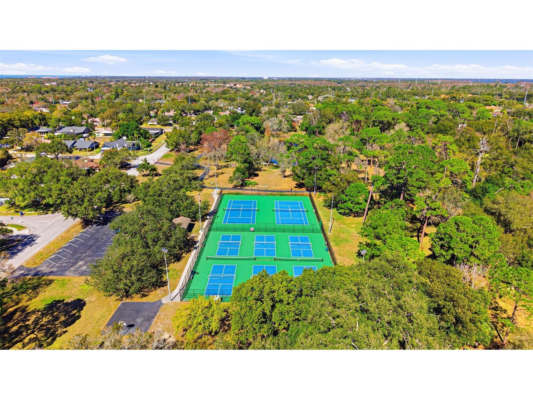 847 Hillside Drive Palm Harbor FL 34683 TB8472928 image78