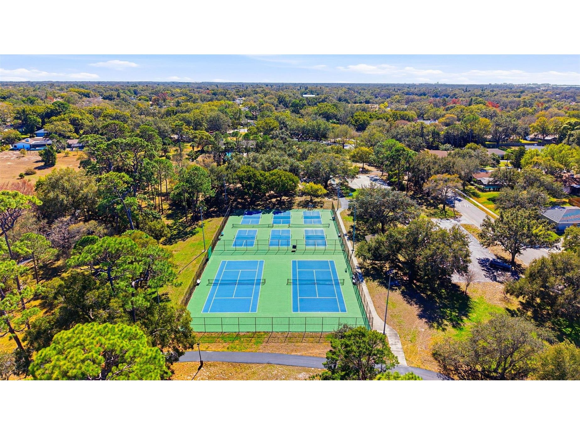 847 Hillside Drive Palm Harbor FL 34683 TB8472928 image79