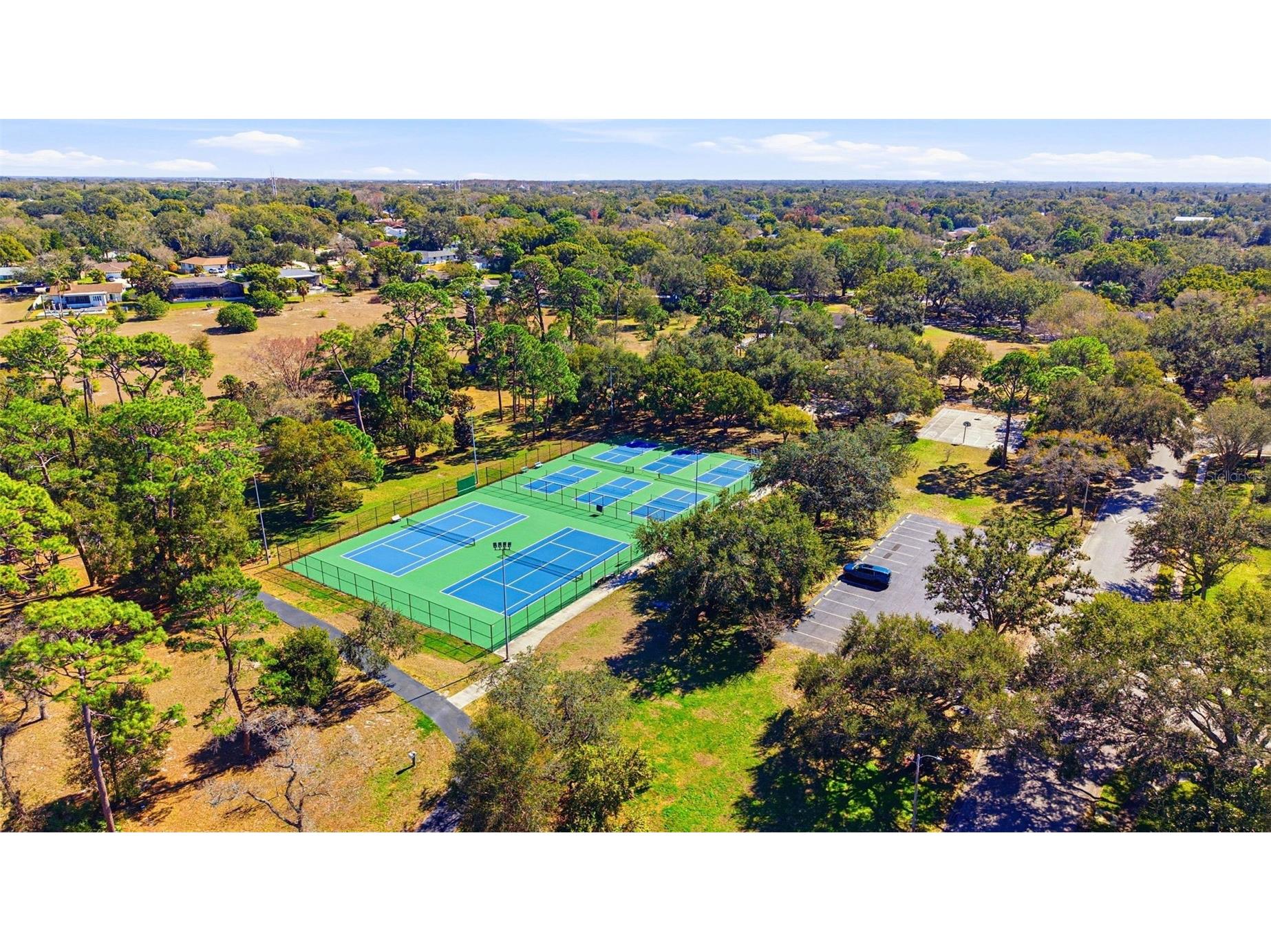 847 Hillside Drive Palm Harbor FL 34683 TB8472928 image80