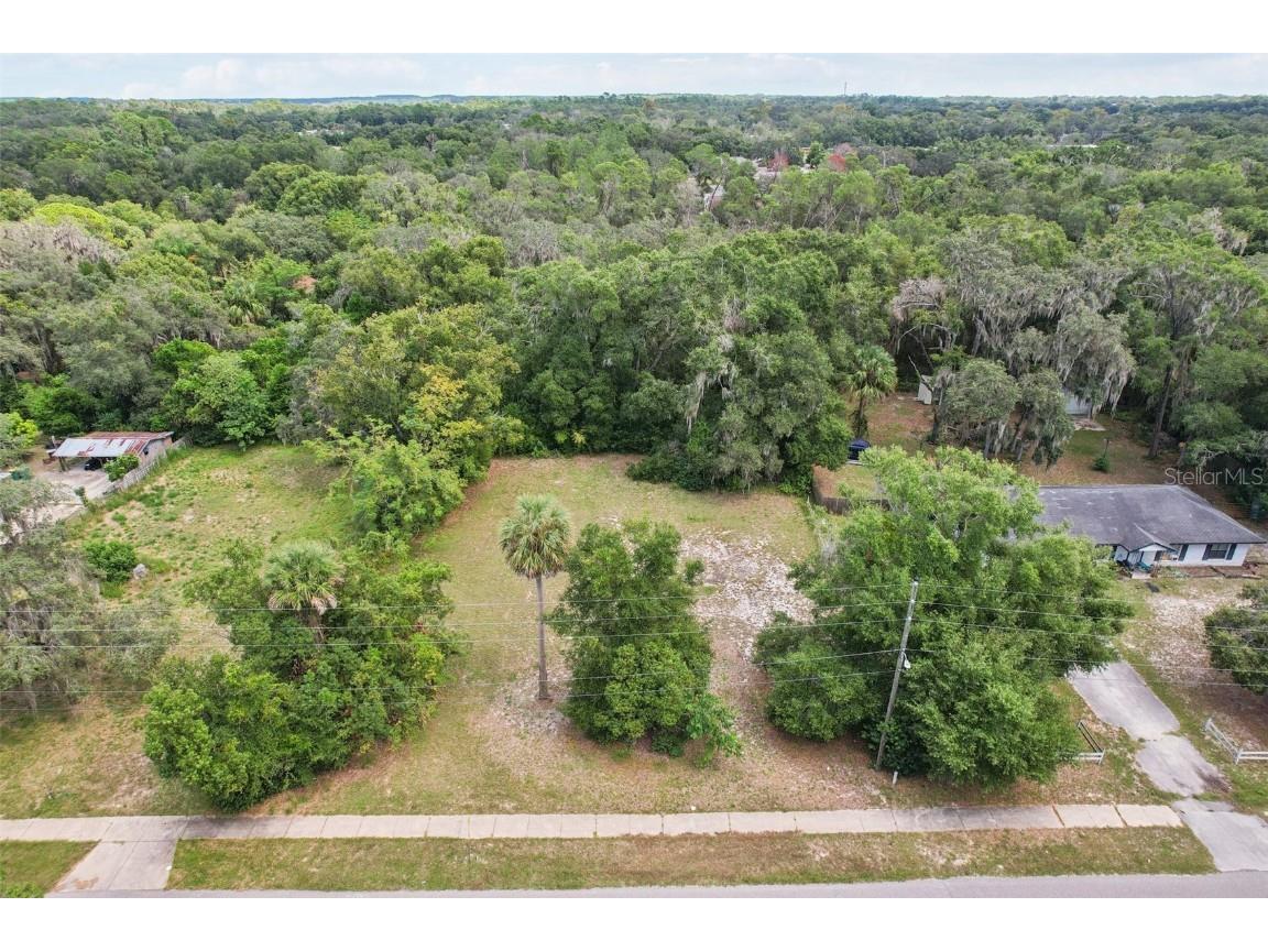 847 Palmetto Street Eustis FL 32726 G5102127 image3