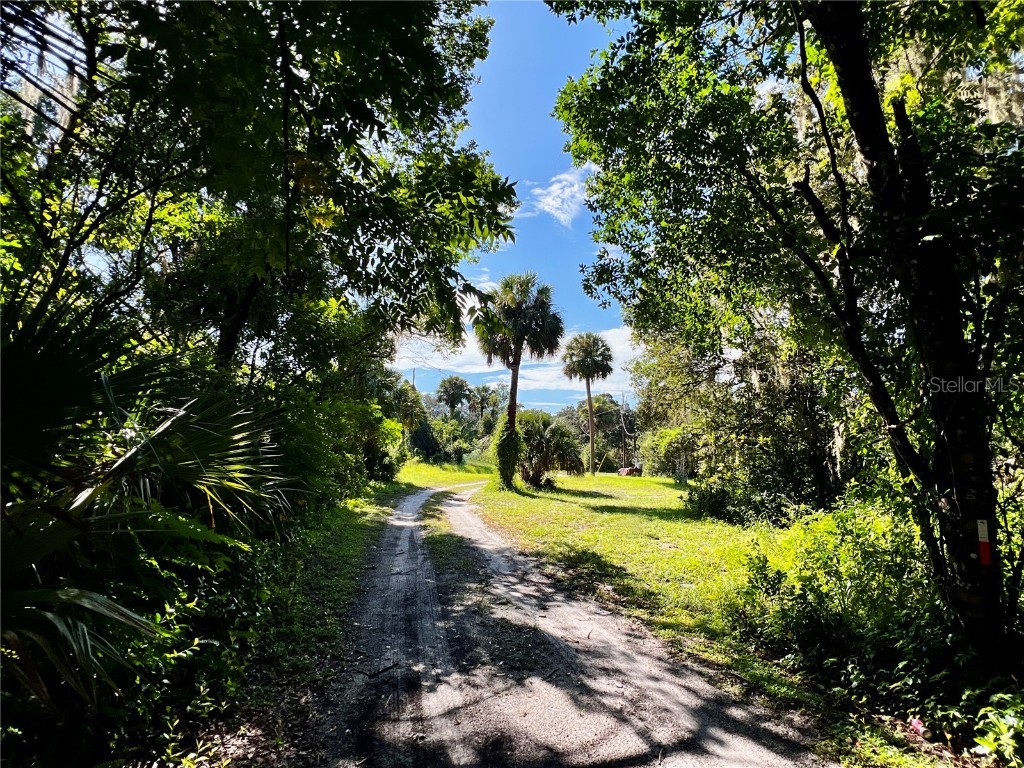 847 Snow Hill Road Geneva FL 32732 G5100487 image13