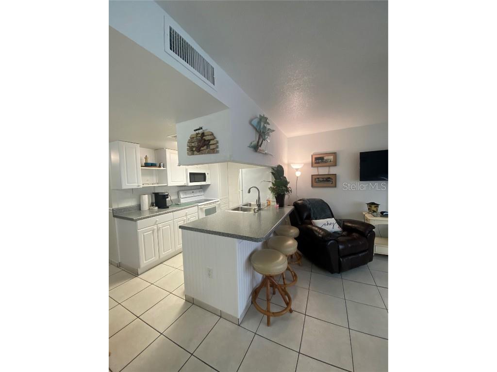 8470 W Gulf Boulevard #304 Treasure Island FL 33706 - GULF OF MEXICO TB8442569 image12