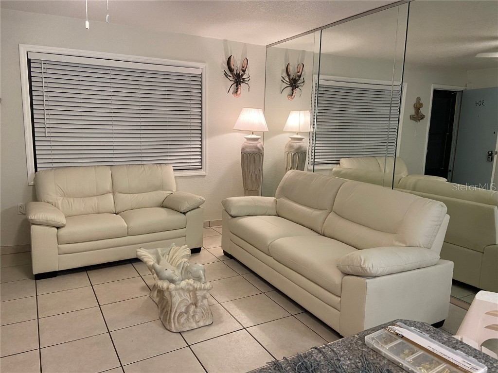 8470 W Gulf Boulevard #304 Treasure Island FL 33706 - GULF OF MEXICO TB8442569 image5