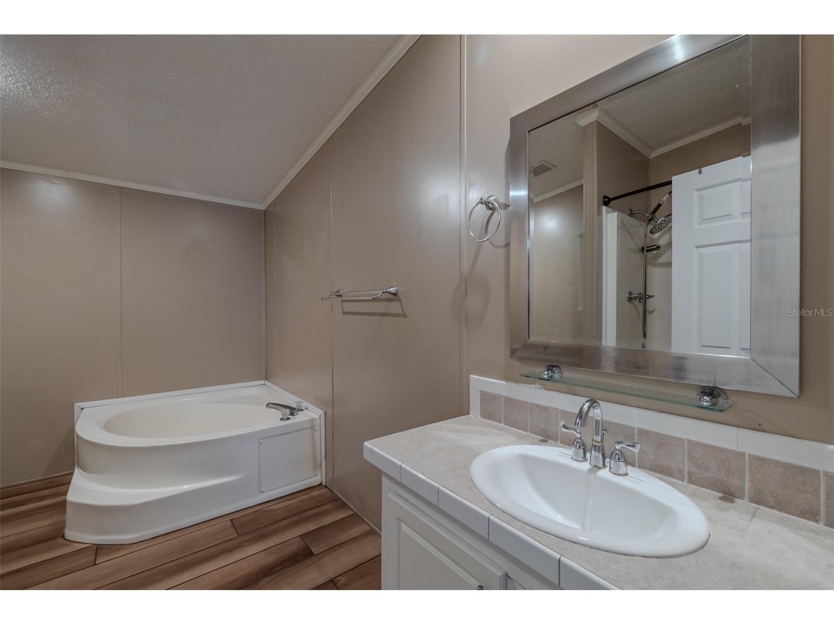 8471 Fantasia Park Way Riverview FL 33578 TB8504010 image26