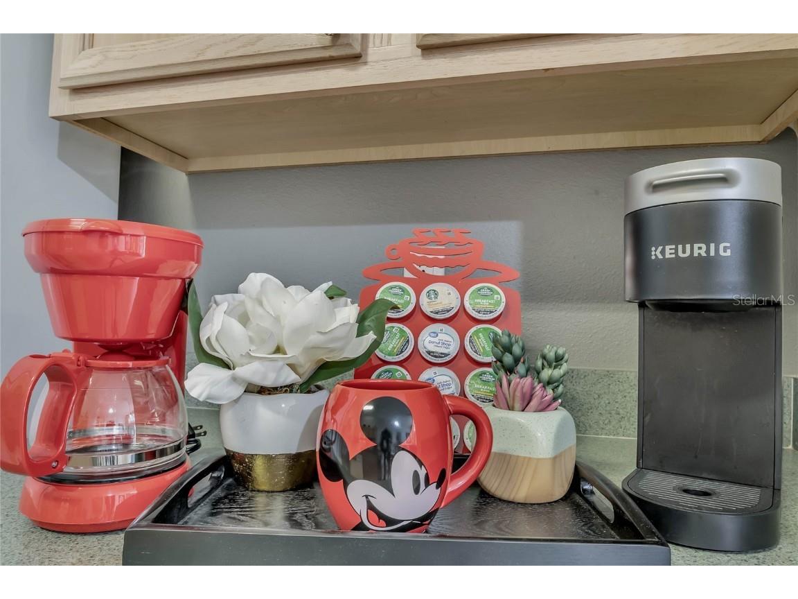 8471 Secret Key Cove Kissimmee FL 34747 O6300568 image27