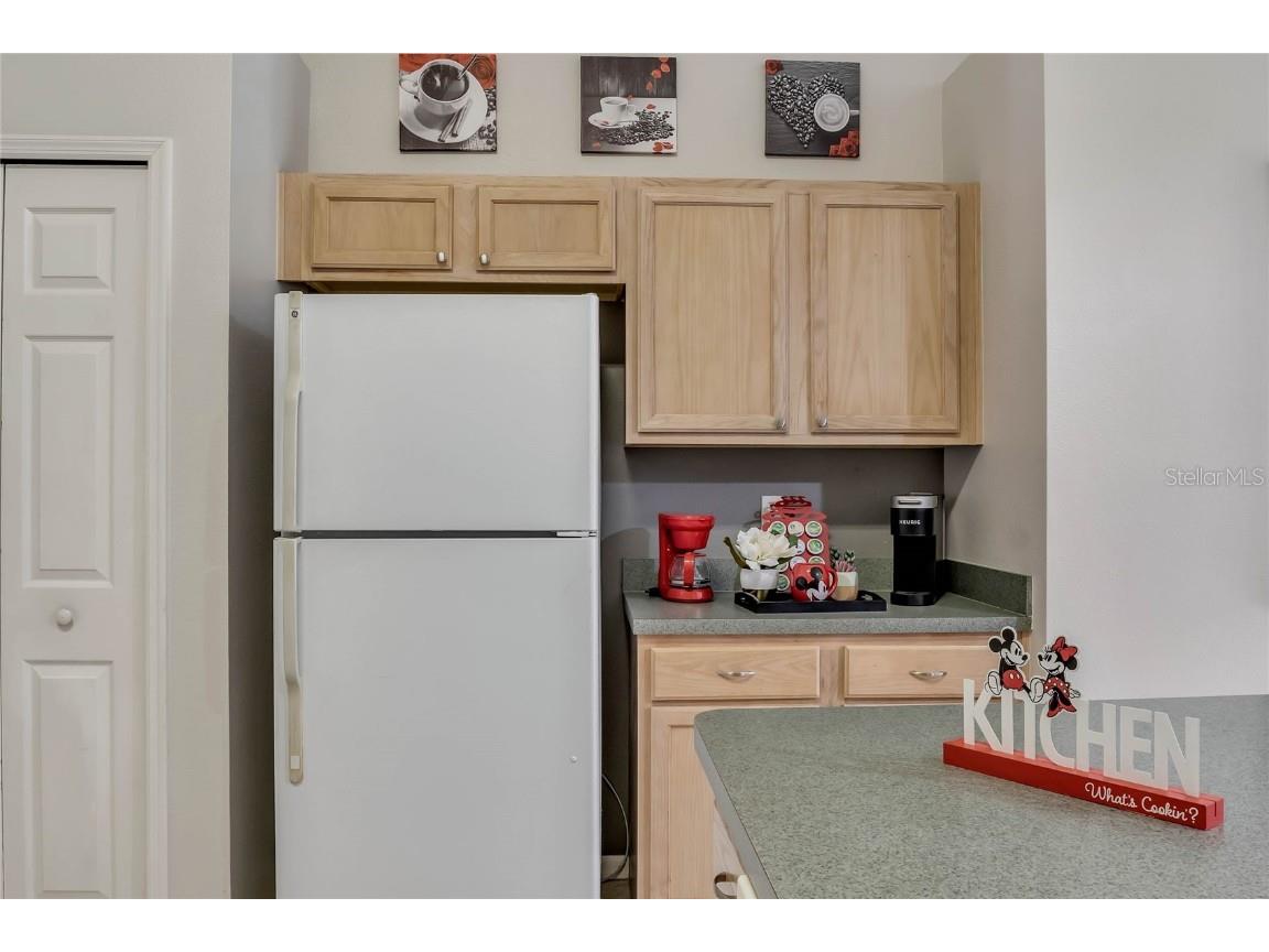 8471 Secret Key Cove Kissimmee FL 34747 O6300568 image28