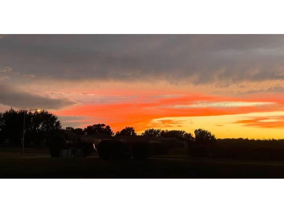 8472 Maybelle Drive Weeki Wachee FL 34613 TB8435233 image46