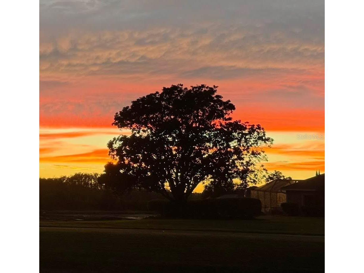 8472 Maybelle Drive Weeki Wachee FL 34613 TB8435233 image47